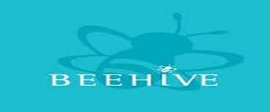 Beehive Communications Pvt Ltd