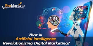 ProMarketo Digital Marketing Agency in jayanagar, bengaluru