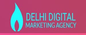 Delhi Digital Marketing Agency