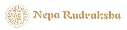 NEPALI RUDRAKSHA