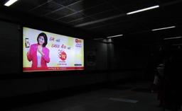 Back Lit Panel  - 12 x 6 Ft  -Platform 3