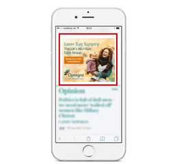 Google Display, Website - Banner Advertising Option 2