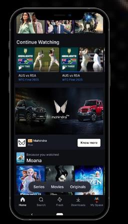 Frame Ads