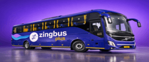 Zingbus