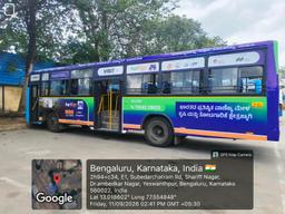 Diesel Buses - Passenger Side