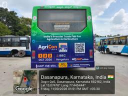 Diesel Buses - Back Side