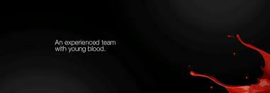 Divine Monkey in banjara hills, hyderabad