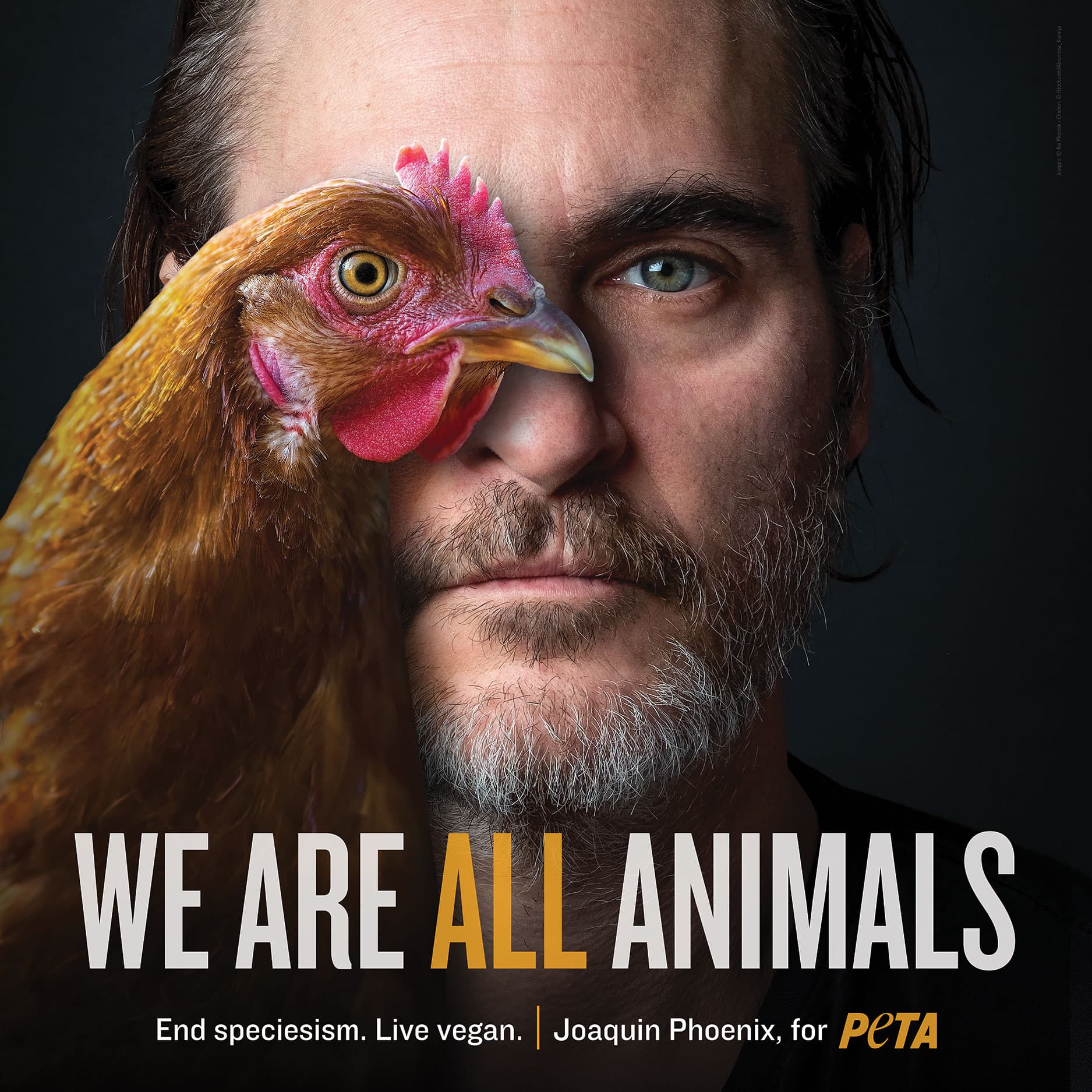 Peta India | We Are All Animals