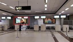 Domestic & International Check-Ins 1