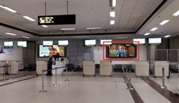Domestic & International Check-Ins 2