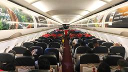 Overhead Bin Panel