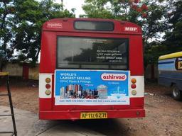 City Ordinary Bus