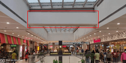 T.F. Opp. Game Palacio