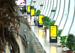 Terminal 1 - Departure & Arrival Area