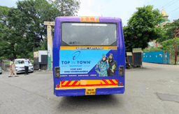 Tejaswini Back Panel
