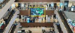 Digital Screen - 18 W x 9 H