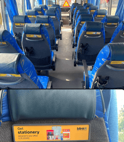 Interior - Seat Back