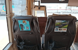 Interior - Seat Back