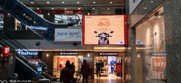 Mall Entry Near Escalator