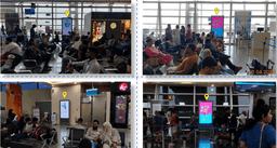 Domestic & International Arrival- 3 W x 7 H ft (Package Of 8 Units)