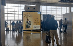 Near Domestic Boarding Gates
