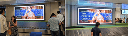 Above Baggage Belt Walls(Domestic & International)