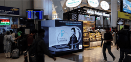 Domestic Arrival Baggage Reclaim