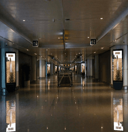Arrival Corridor- T1