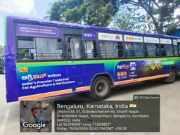 Diesel Buses - Driver Side