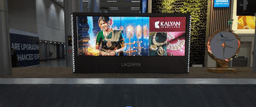 Baggage Claim - T1 Domestic