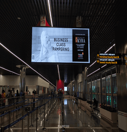 Check In Area- T1 Domestic