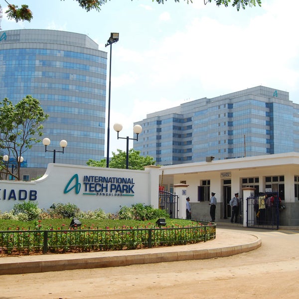 Whitefield The Media Ant