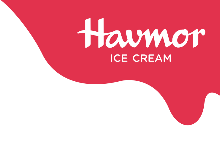 Havmor Case Study