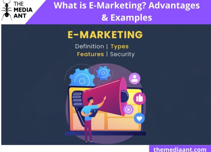 What is E-Marketing? Advantages & Examples
