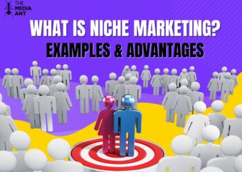 What is Niche Marketing? Examples & Advantages